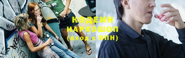 трава Белокуриха