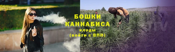 спиды Богородицк