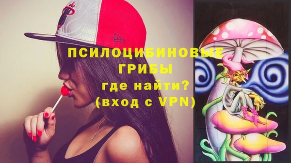 apvp Балахна