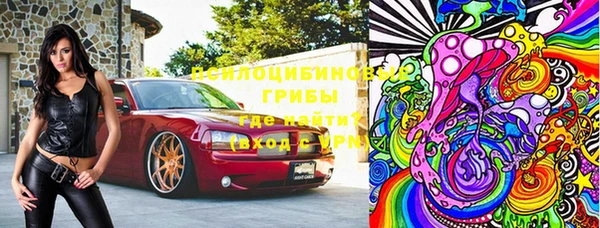 гидра Богданович