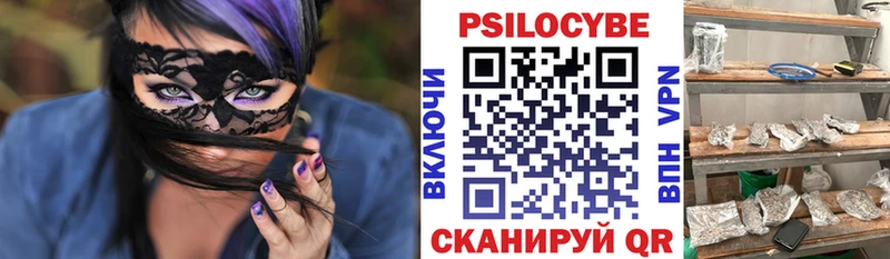 Псилоцибиновые грибы Cubensis  дарнет шоп  Макаров 